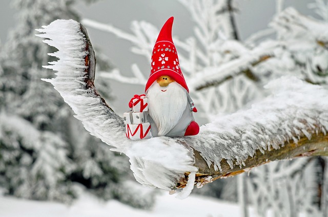 Un petit lutin de noël.